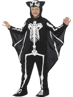 Malý netopýří skeleton